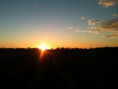 /album/photogallery/img-1225-jpg/